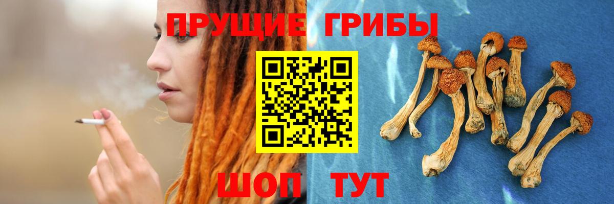 Псилоцибиновые грибы прущие грибы Вятские Поляны